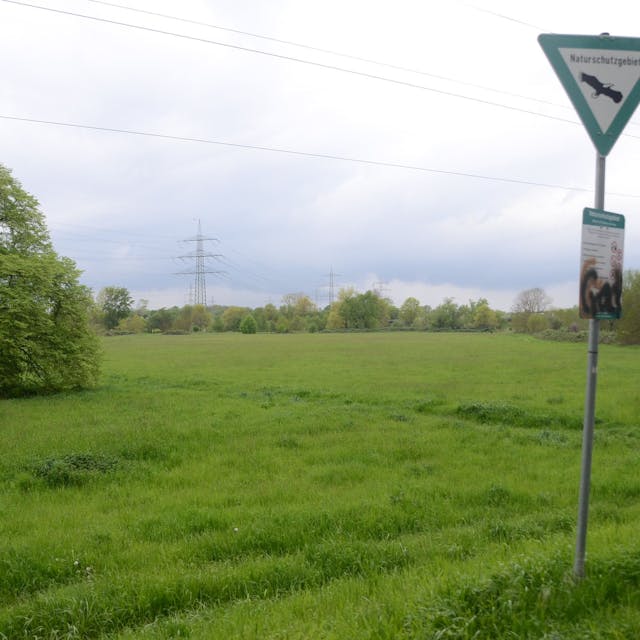 Eine üppig-grüne Wiese, auf der ein Schild steht, die sie als Naturschutzgebiet ausweist.