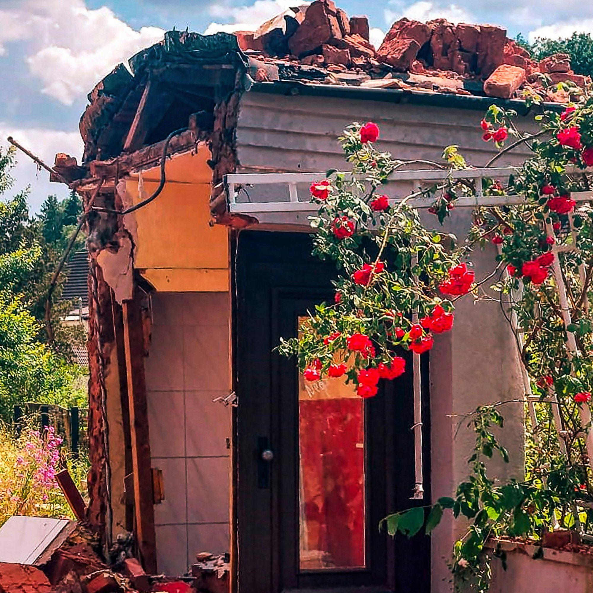 An einem bei der Flutkatastrophe 2021 zerstörten Haus blühen rote Rosen.