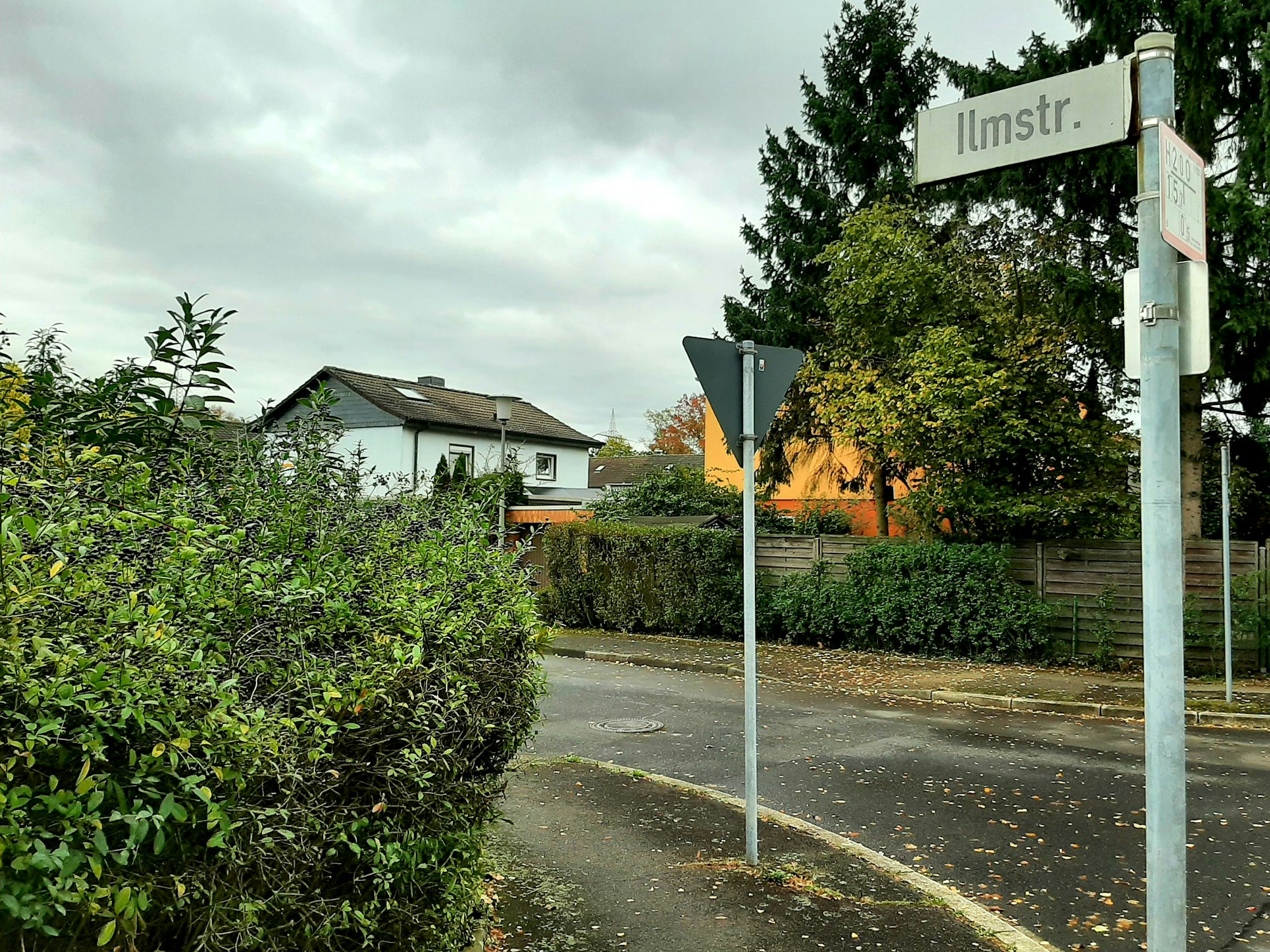 An einer Straße steht ein Schild mit der Aufschrift Ilmstr., im Hintergrund ist ein einstöckiges Wohnhaus zu sehen sowie grüne Hecken.