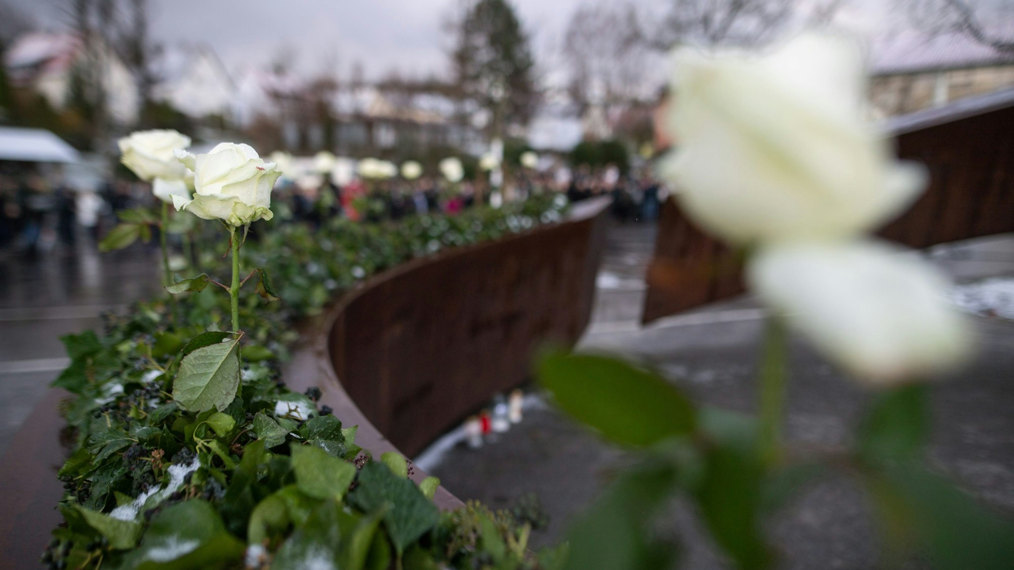 Rosen stehen während der Gedenkfeier zum 10. Jahrestag des Amoklaufs von Winnenden auf dem ‚Gebrochenen Ring‘, der an die Opfer erinnert. (Archivbild)