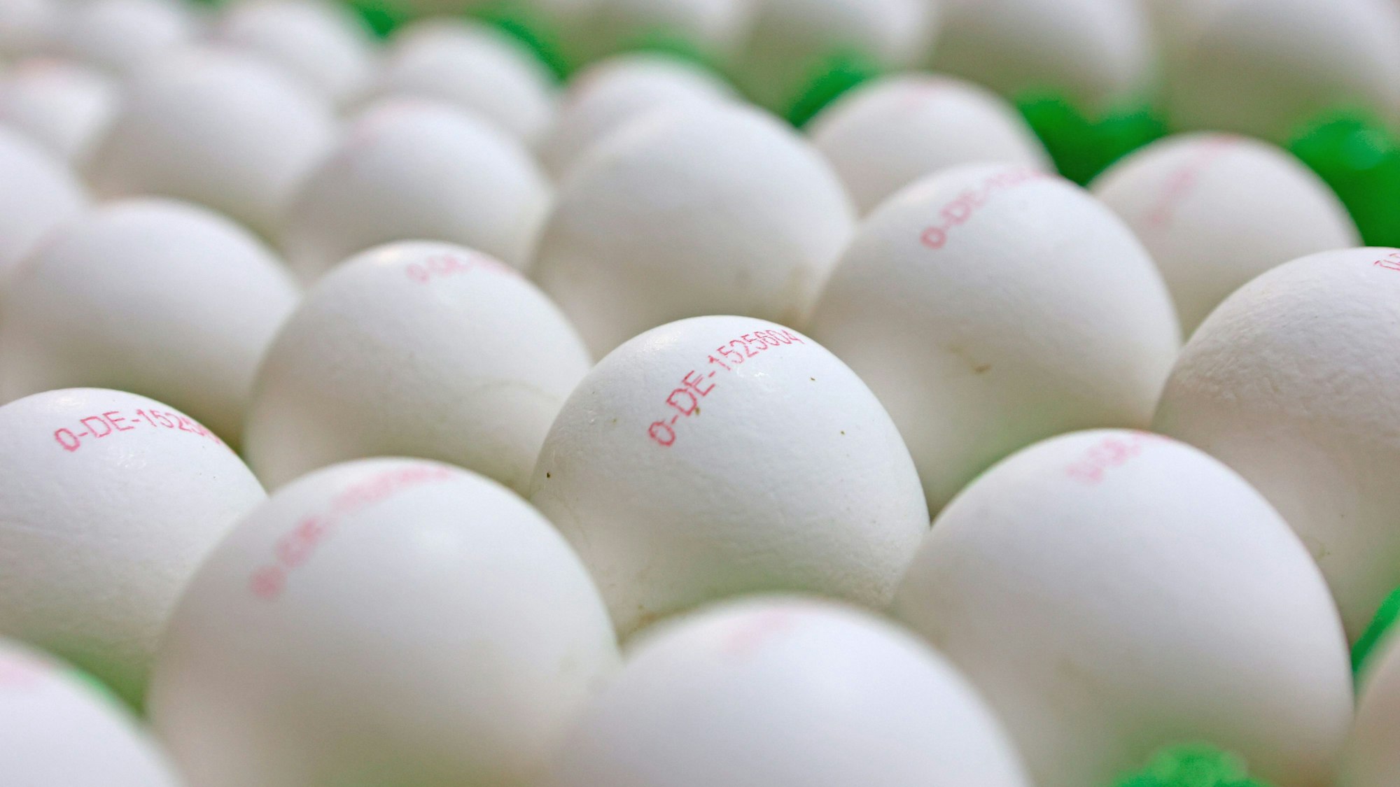 Nur noch ein Ei pro Woche? Die Geflügelbranche übt an dieser neuen Ernährungsempfehlung deutliche Kritik.