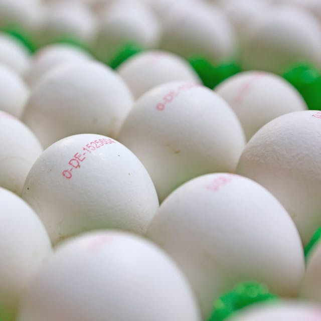Nur noch ein Ei pro Woche? Die Geflügelbranche übt an dieser neuen Ernährungsempfehlung deutliche Kritik.&nbsp;