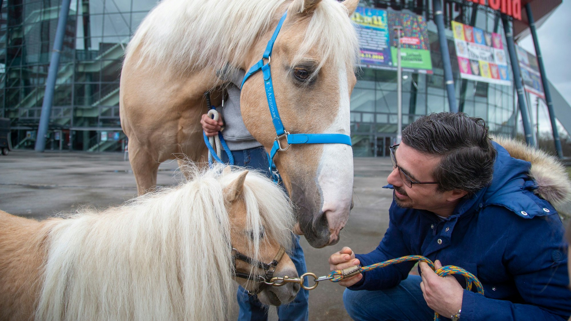 Dressurreiter Filipe Fernandes mit Pferd „Gorgito“ und Mini-Pony „Arno“.