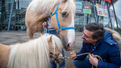 Dressurreiter Filipe Fernandes mit Pferd „Gorgito“ und Mini-Pony „Arno“.