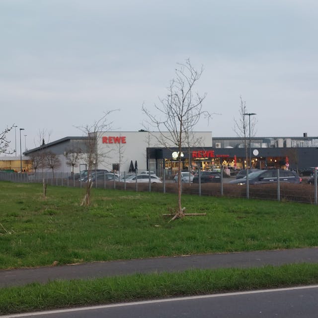 Ein Rewe-Supermarkt mit parkenden Autos. Links angrenzend an das Grundstück eine Wiese mit einigen Bäumen.