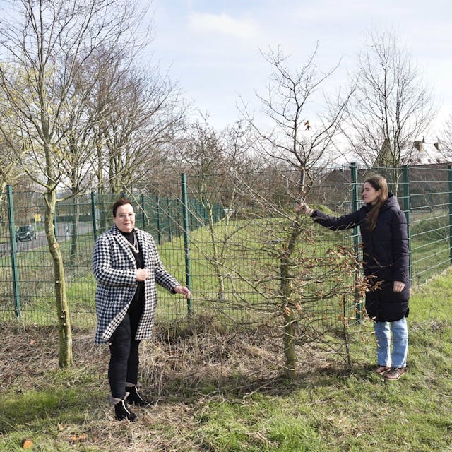 &nbsp;Juliane B. Vetter und Julia Drittler stehen mit einem Baum in der Hand vor einem grünen Zaun.