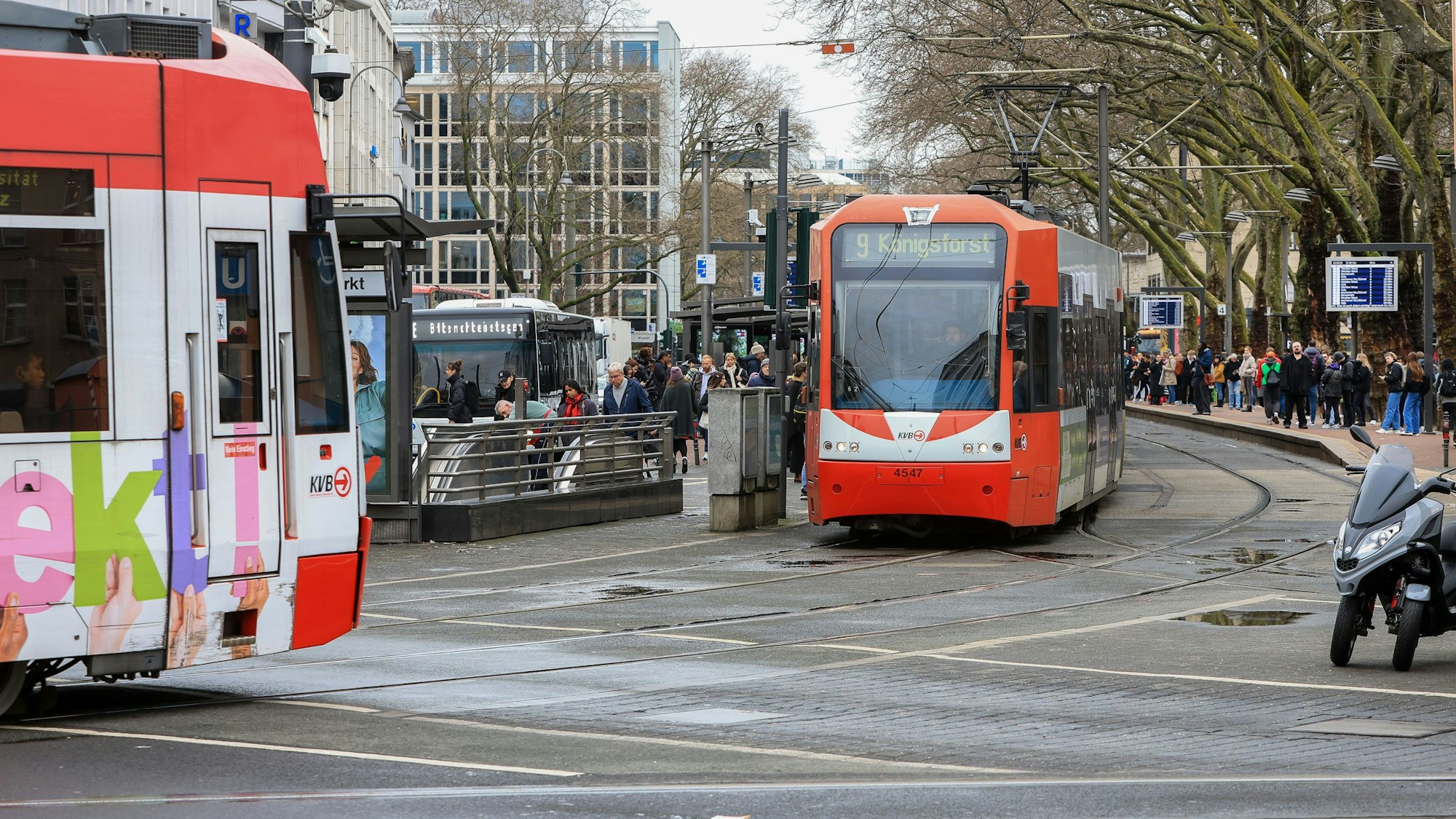 Zwei Bahnen der KVB fahren über den Kölner Neumarkt.