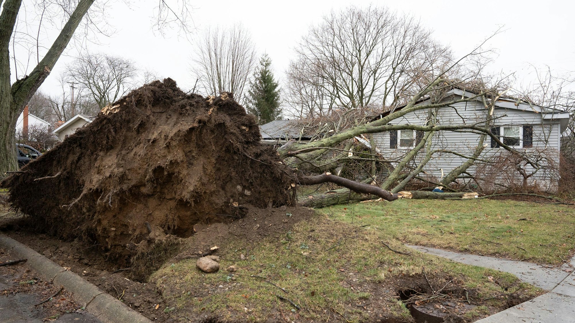 Ein entwurzelter Baum liegt vor einem Haus im US-Bundesstaat Michigan.