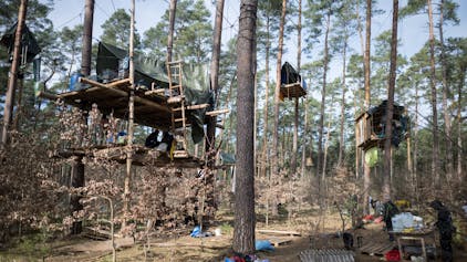 Baumhäuser hängen in einem Camp der Initiative „Tesla stoppen“ in einem Kiefernwald nahe der Tesla-Gigafactory Berlin-Brandenburg.