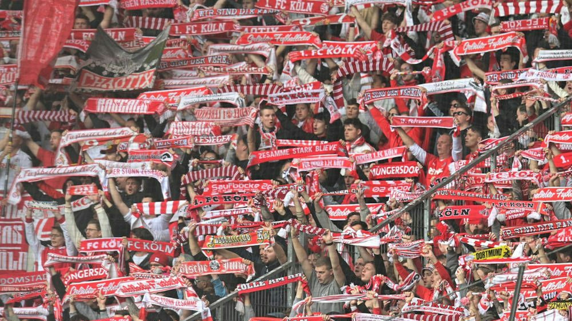 Fans des 1. FC Köln halten ihre rot-weißen Schals in die Höhe.