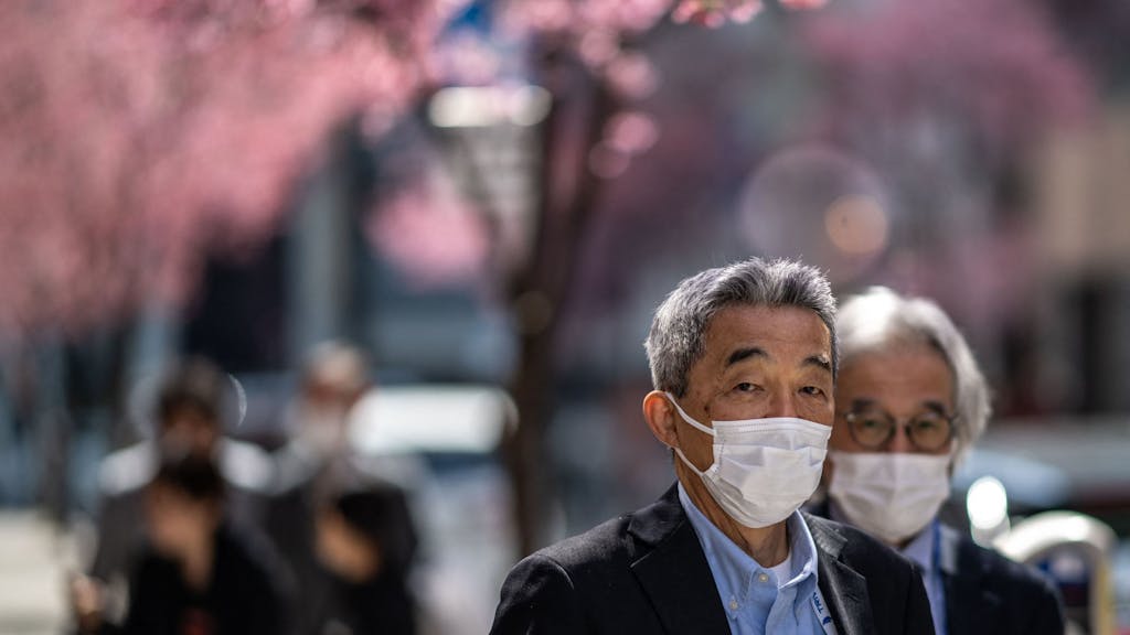 Menschen wandeln am 15. März unter den Kirschblüten im Chuo-Distrikt von Tokio (Japan): In dem Land breitet sich aktuell eine gefährliche Infektion aus.
