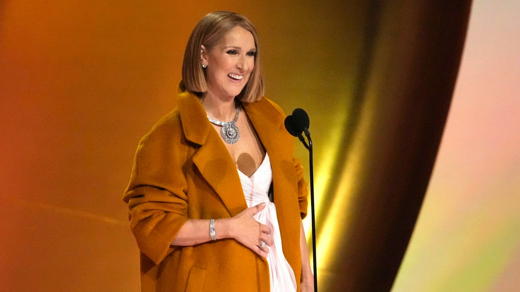 Céline Dion präsentierte den Preis für das Album des Jahres während der 66. jährlichen Grammy Awards.