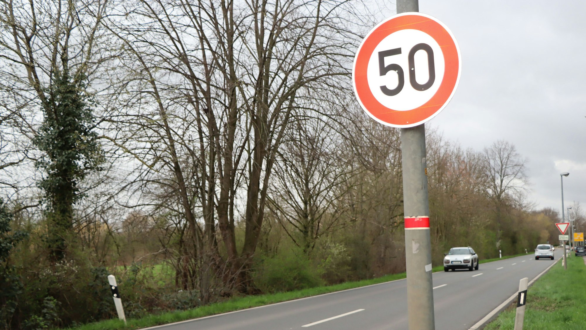 Auf dem Foto ist die Rodenkirchener Straße mit einem Tempo-50-Schild zu sehen.