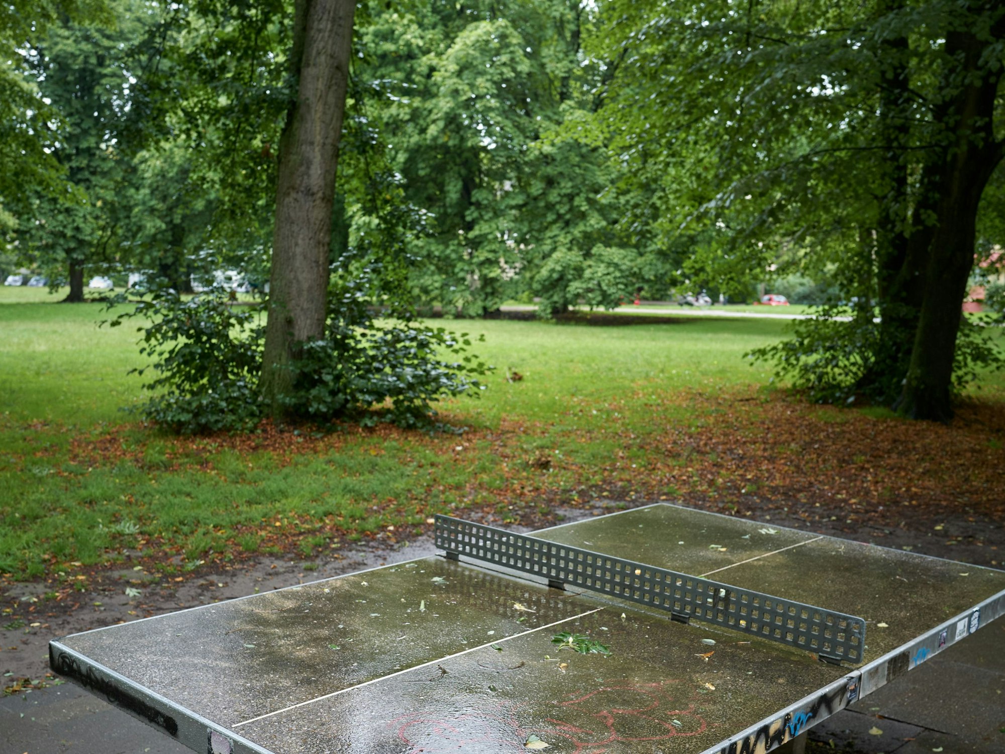 Eine Tischtennisplatte steht auf einer asphaltierten Fläche in einem Park.