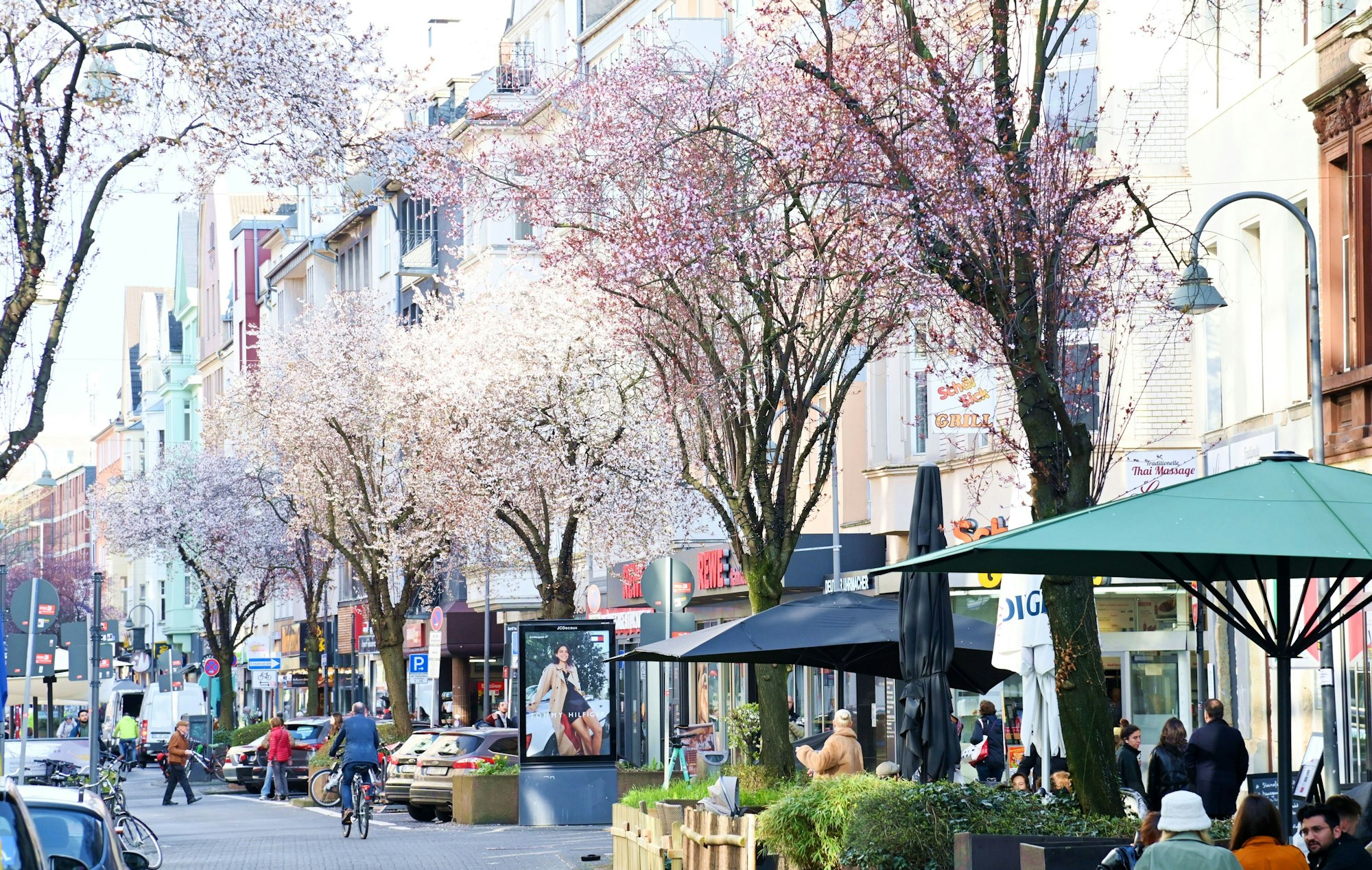 Blühende Kirschbäume in einer Einkaufsstraße