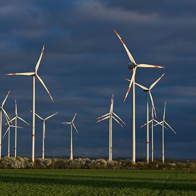 Energiewende auch mitten im Wald: Ginge es nach der AfD, würden keine neuen Windräder mehr errichtet.