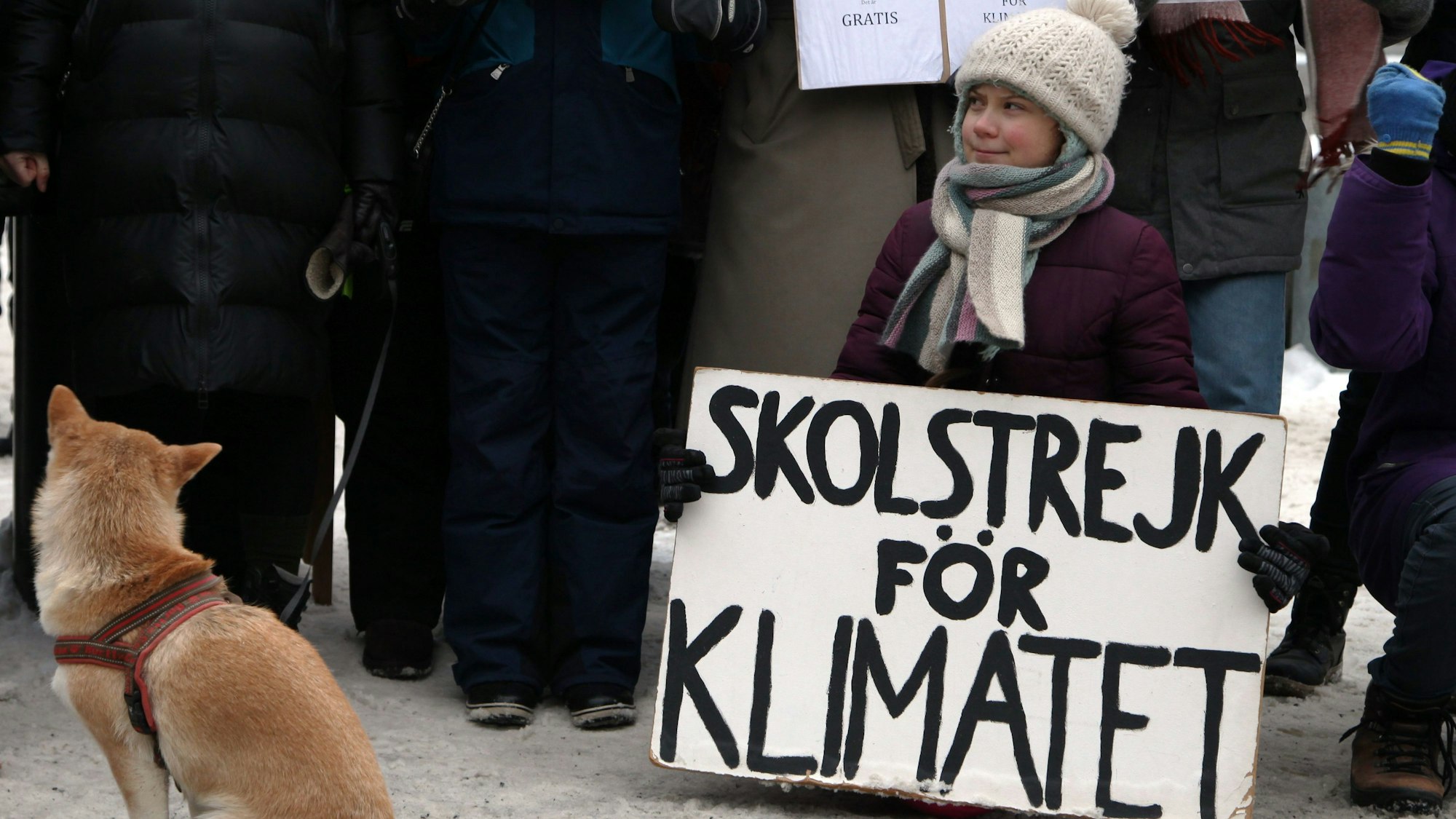 Schweden, Stockholm: Die damals 16-jährige Schwedin Greta Thunberg demonstriert vor dem Reichstag in Stockholm für mehr Klimaschutz mit einem Plakat «skolstrejk for klimatet» (Schulstreik für das Klima).