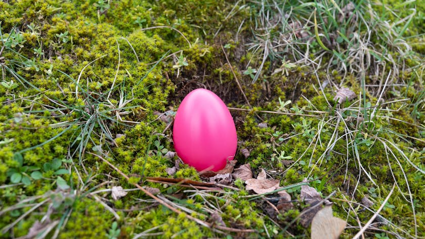Ein einsames Osterei liegt auf dem Waldboden. Symbolbild