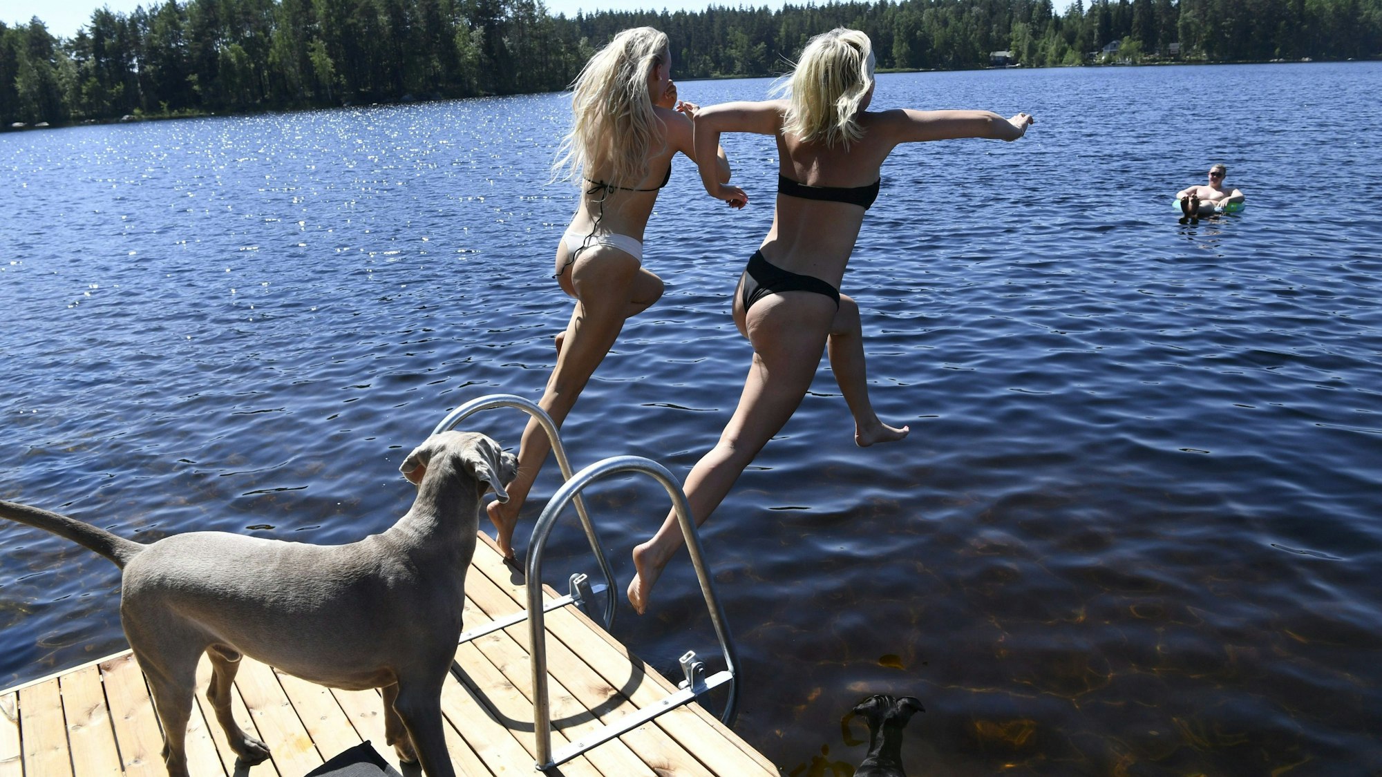Finnland, Kouvola: Ein Hund beobachtet, wie zwei jungen Frauen von einem Steg in den Vuohijärvi-See springen.