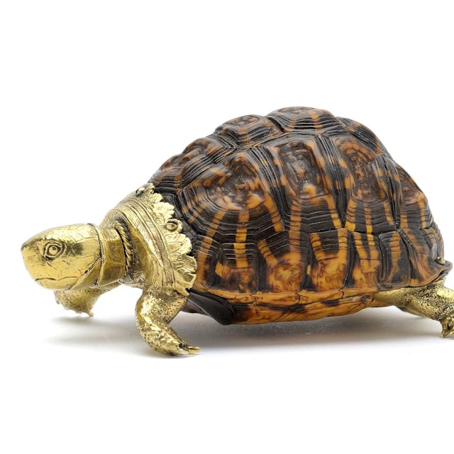 Eine vergoldete Schildkröte aus Silber trägt einen echten Schildkrötenpanzer.&nbsp;
