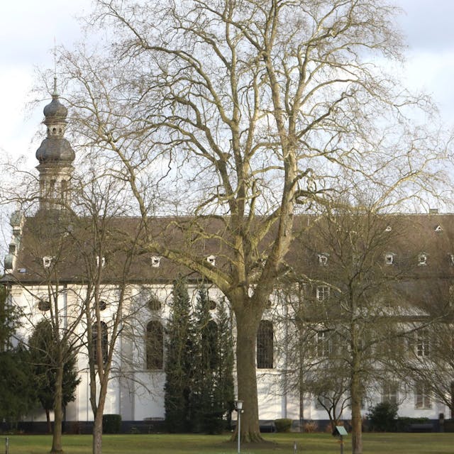 Ein weißes, historisches Gebäude mit einem kleinen Kirchturm steht hinter hohen Bäumen.
