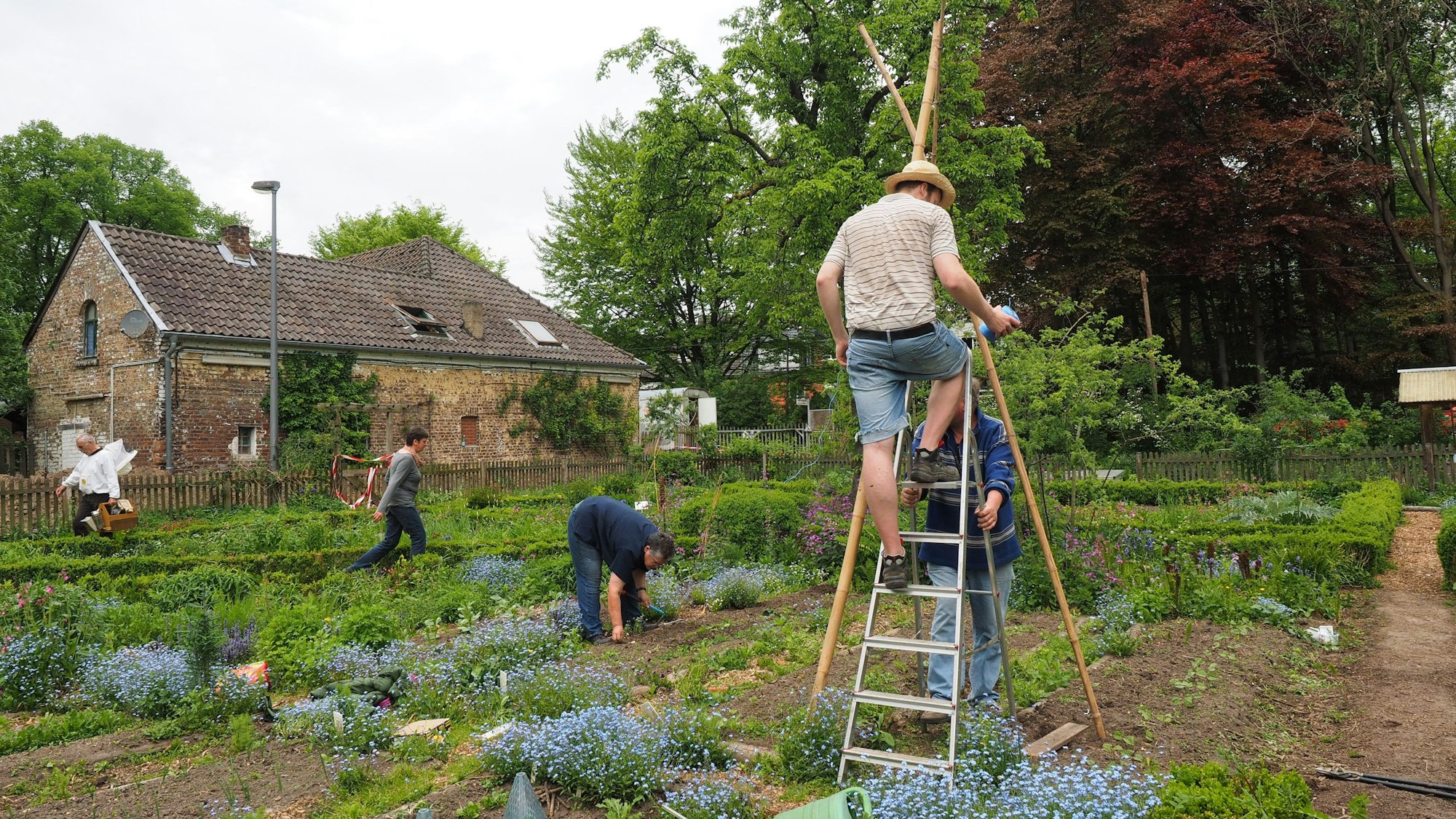 Mehrere Personen arbeiten in den angelegten Blumenbeeten auf dem von der Volkshochschule Köln genutzten Gelände in Dellbrück.