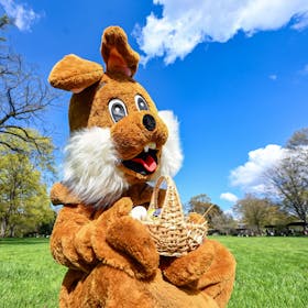 Im Zoologischen Stadtgarten hält ein Osterhase in einem Plüschkostüm am Ostersonntag ein Körbchen mit bunten Ostereiern in den Händen.