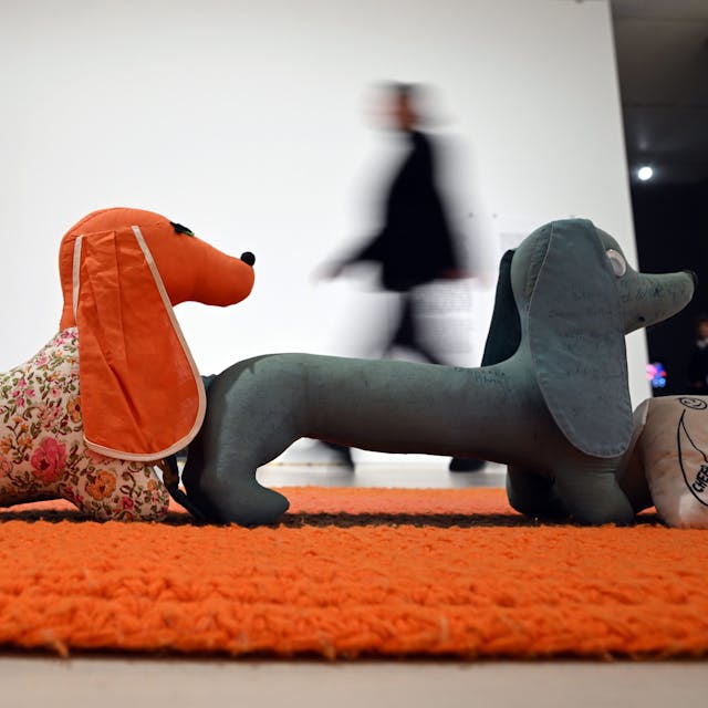 Eine Besucherin geht in der Ausstellung „Mike Kelly. Ghost and Spirit“ am Kunstwerk „Arena #10 (Dogs)“ aus dem Jahr 1990 vorbei. Im K21 der Kunstsammlung Nordrhein-Westfalen wird die Ausstellung vom 23.03. bis 08.09.2024 präsentiert.