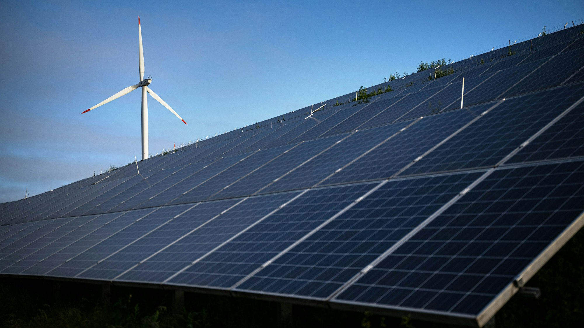 Windkraftanlagen stehen hinter Photovoltaikanlagen auf der Blocklanddeponie.