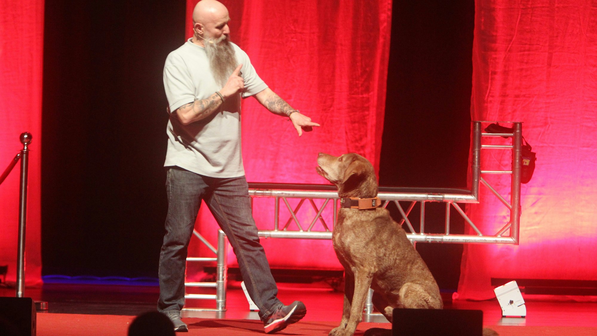Auf der Bühne sitzt der große, braune Hund Dakota vor dem Hunde-Experten Holger Schüler.