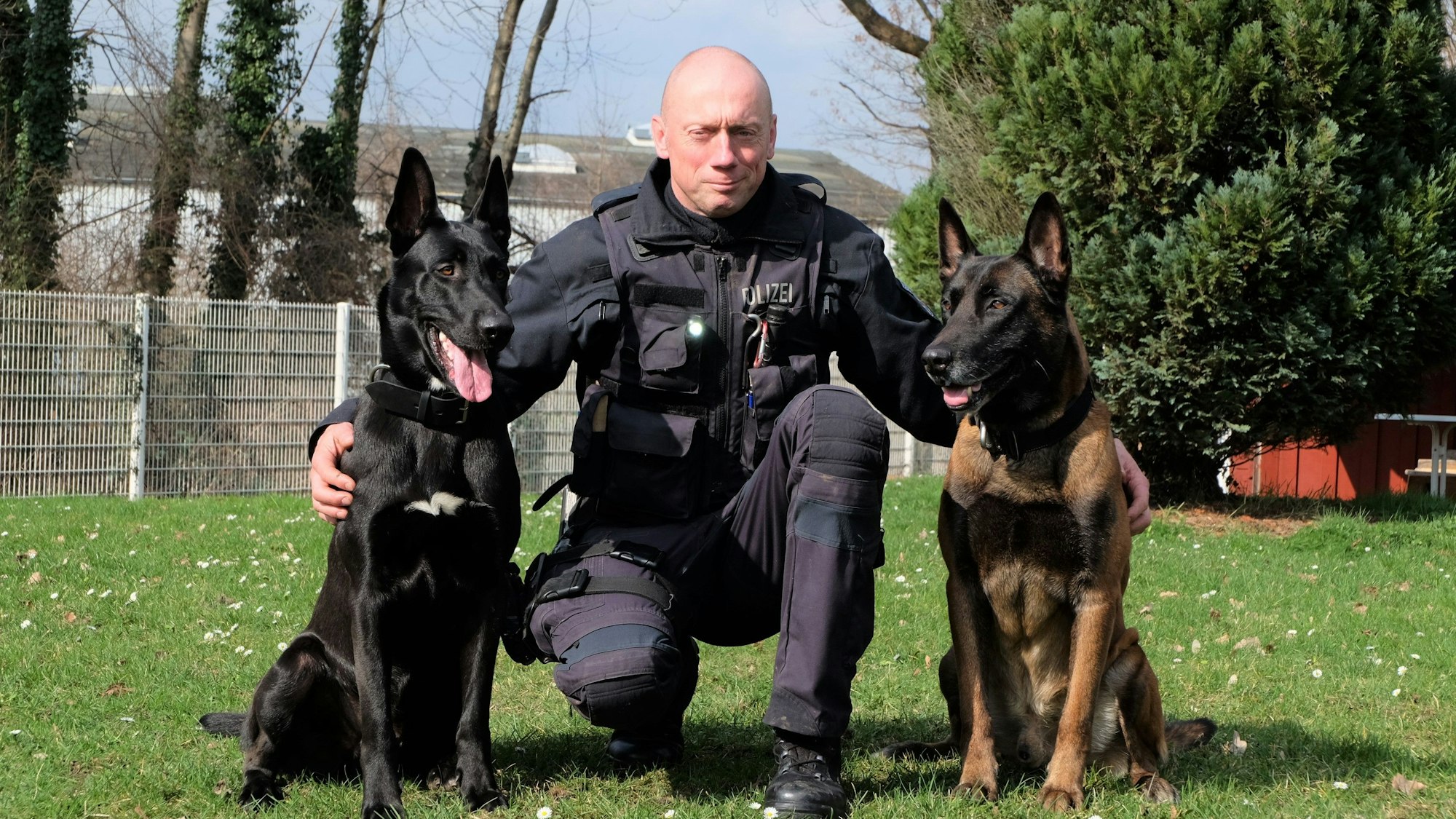 Die beiden Belgischen Schäferhunde und der rheinisch-bergische Polizeibamte Simon Lieberich hocken auf einer Wiese.