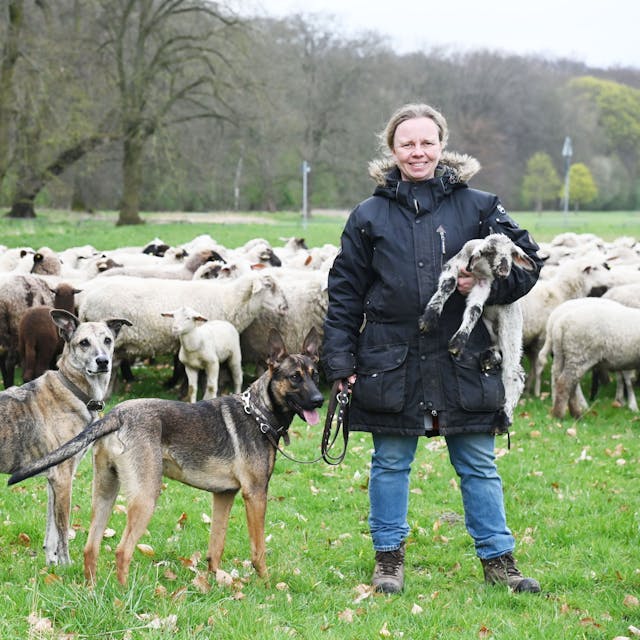 Eine Frau mit zwei Hunden hält ein Lamm auf dem Arm, hinter ihr Schafe