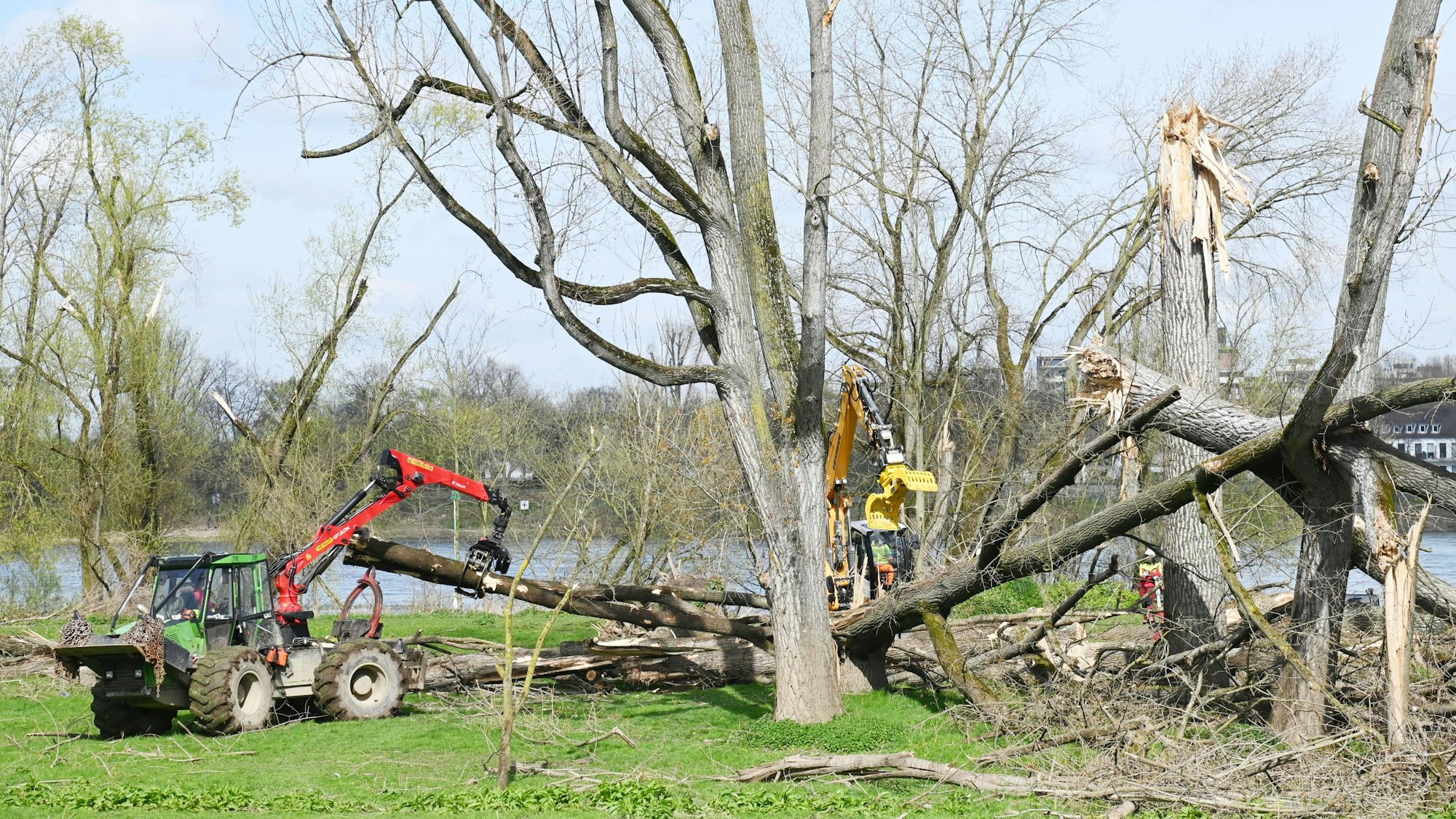 In Rodenkirchen werden Sturmschäden beseitigt. Dort waren im Dezember 2023 zahlreiche Bäume umgeknickt. Nun sollen Forstgroßmaschinen aufräumen, die Stadt erwartet Flurschäden.