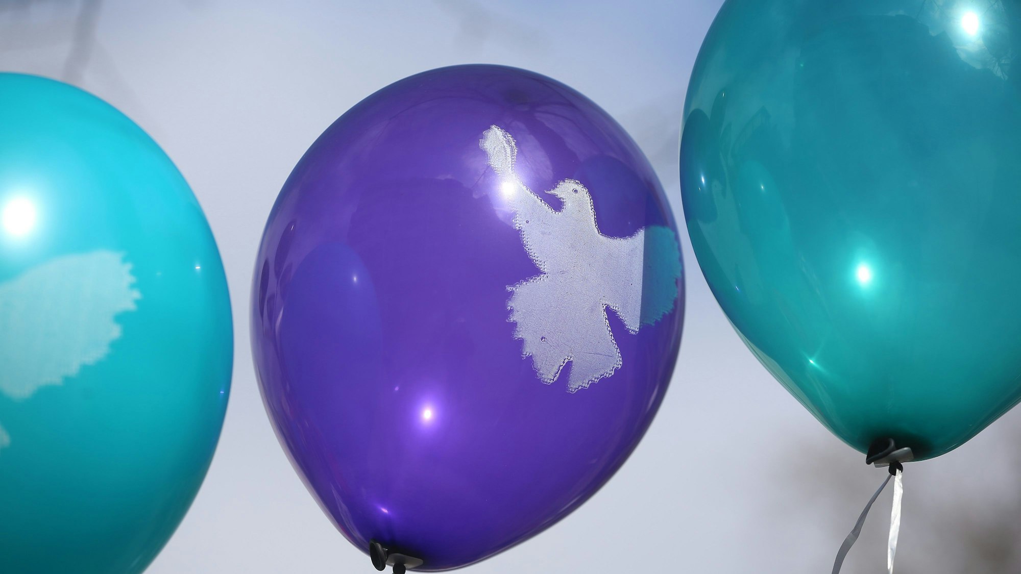 Bunte Luftballons mit Friedenstaube (Symbolbild)