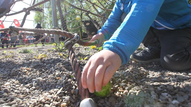 Ostereiersuche des Verschönerungsverein Rheidt auf dem Spielplatz des Werthchens. Der fünfjährige Tom findet als einer der Ersten ein grünes Ei.