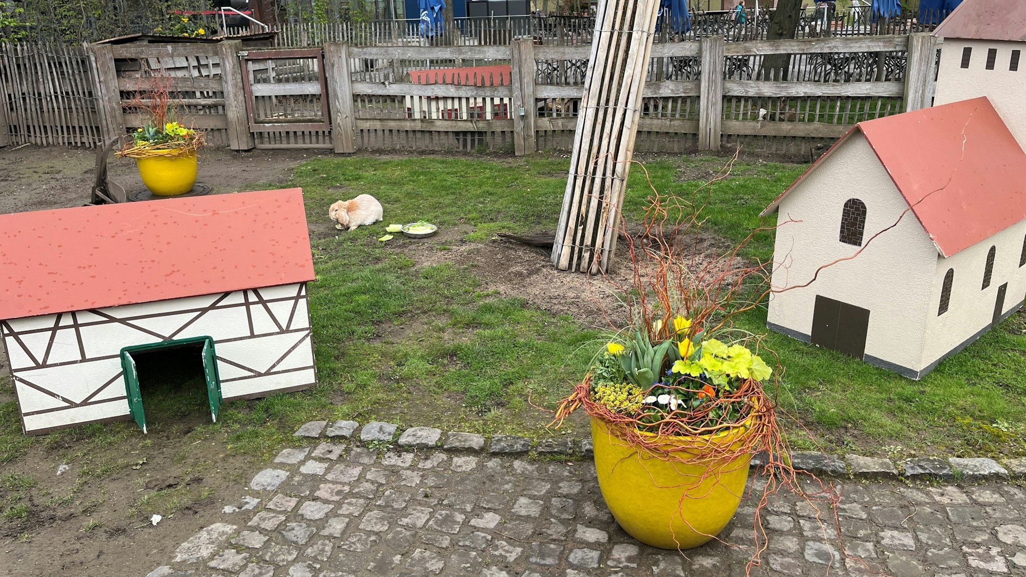 Ein Kaninchen sitzt auf einem Rasen. Miniatur-Fachwerkhäuser stehen als Unterschlupf bereit.