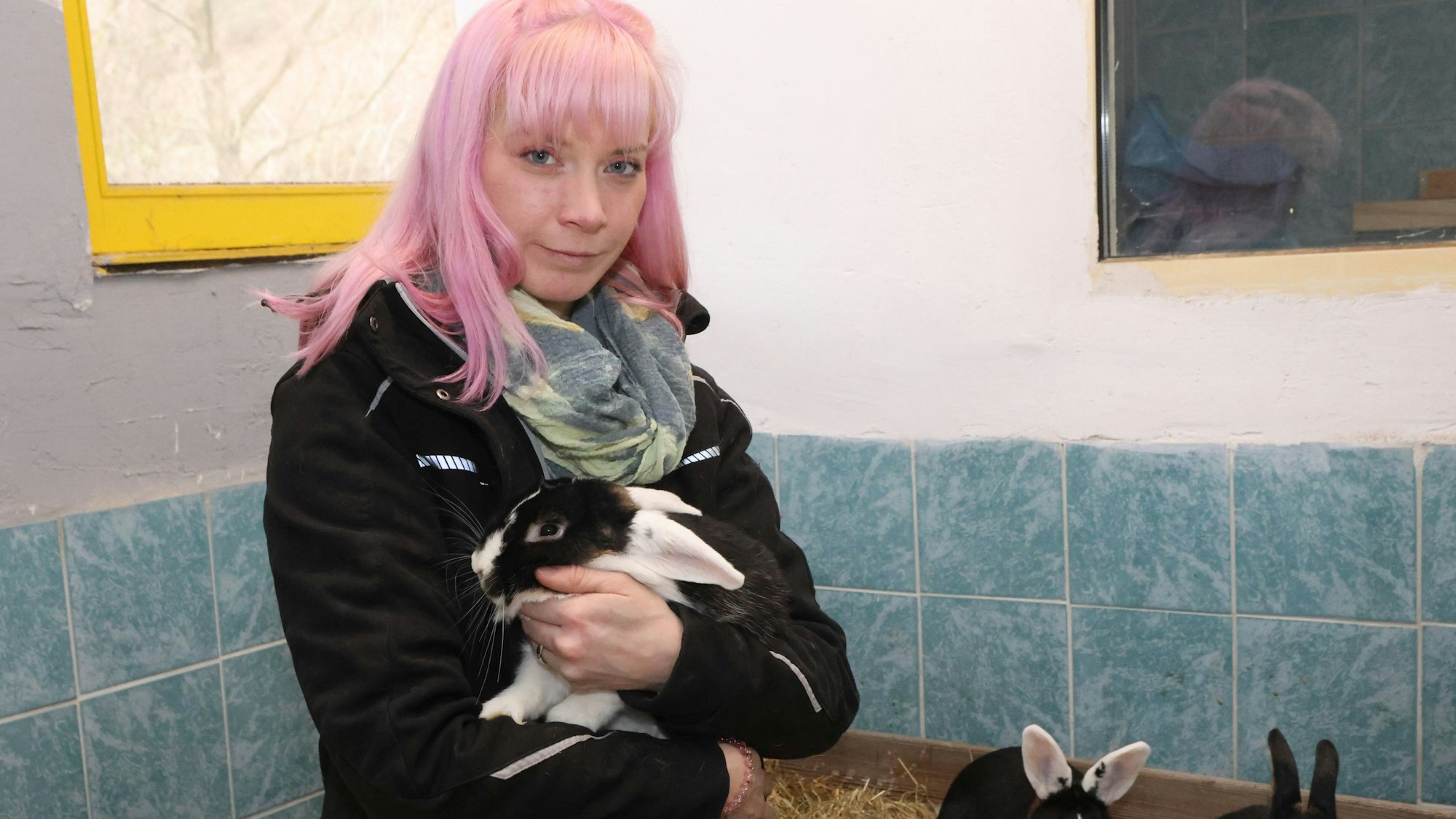 Häschen-Geschichte, Tierheim Koppelweide, Julia Faßbender mit Kaninchen Maurice