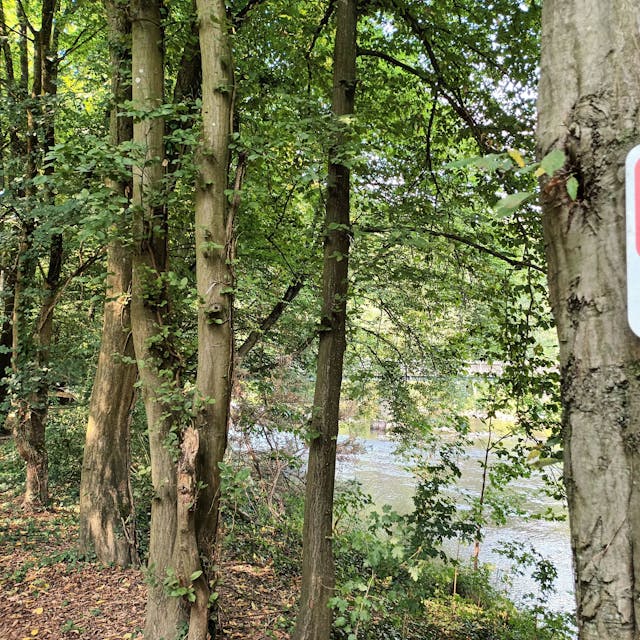 Ein Schild Stop Naturschutz in Lohmar-Donrath an der Agger