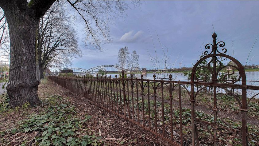 Das Bild zeigt den historischen Zaun am Bayenthaler Rheinufer.