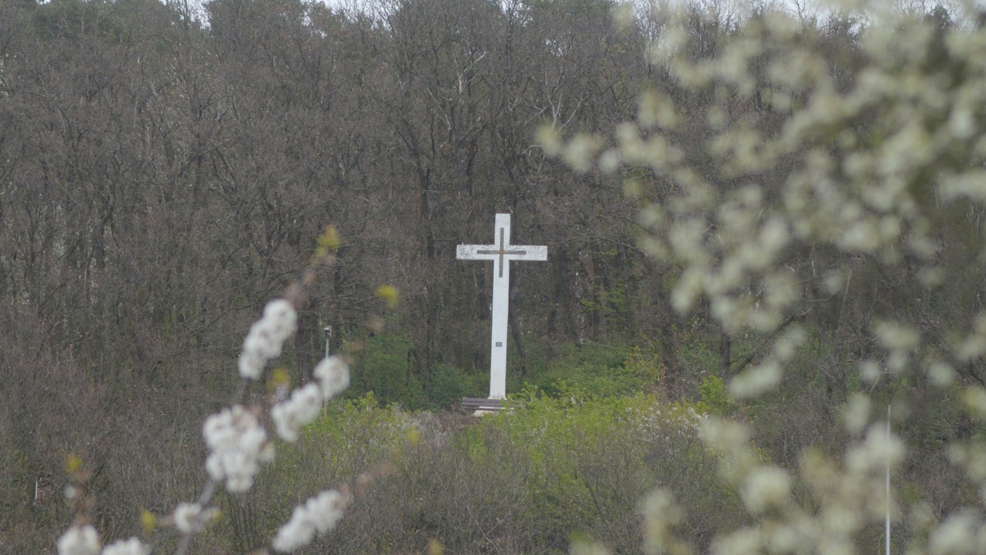 Das Kreuz steht am Waldrand, im Vordergrund des Bildes blühende Bäume.