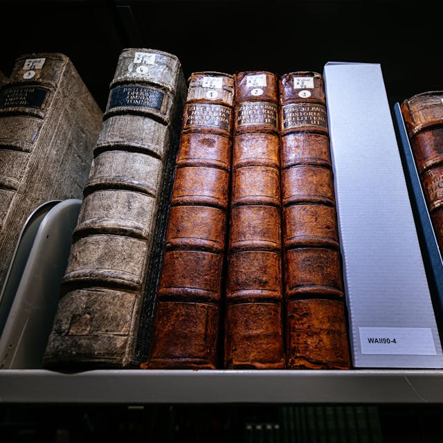 Buchrücken stehen systematisch sortiert neben Boxen aus säurefreiem Karton, in denen restaurierte Werke geschützt sind.