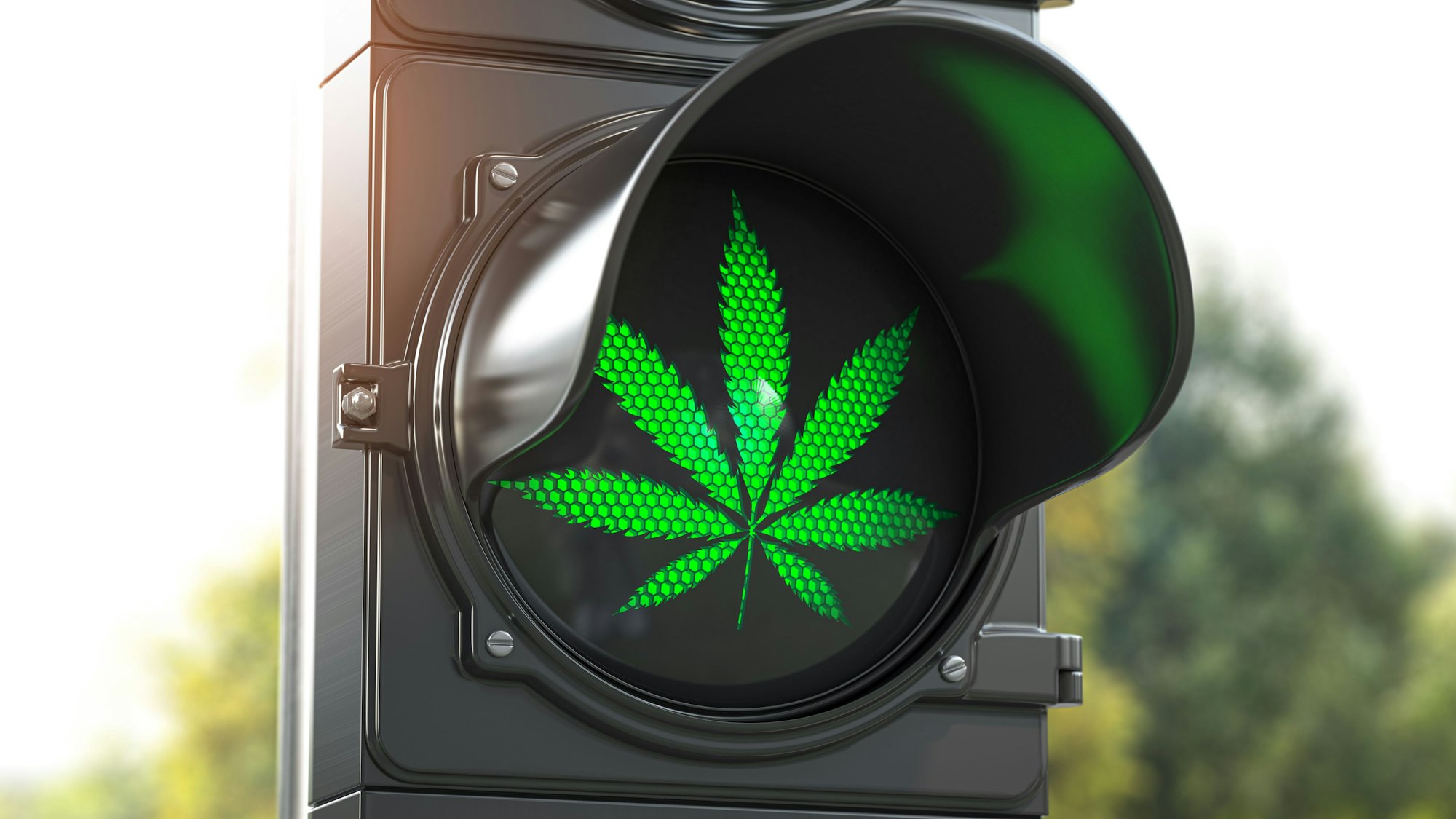 Auf einem Ampelsignal ist der Umriss eines grünen Cannabisblatts zu sehen.