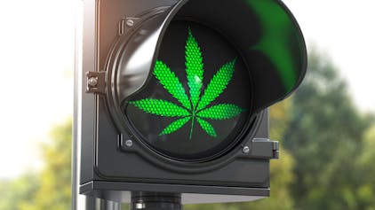 Auf einem Ampelsignal ist der Umriss eines grünen Cannabisblatts zu sehen.&nbsp;