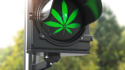 Auf einem Ampelsignal ist der Umriss eines grünen Cannabisblatts zu sehen.&nbsp;