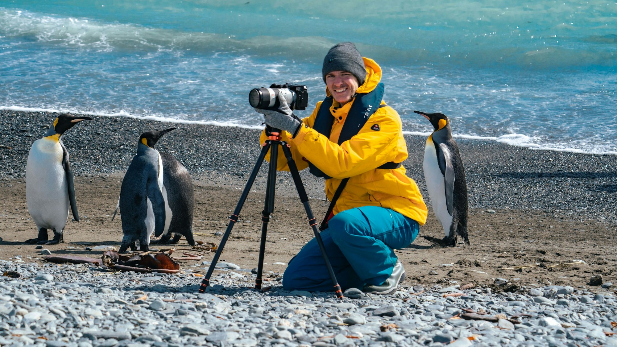 Jannis Riebschläger mit Kamera am Strand, umgeben von Pinguinen.