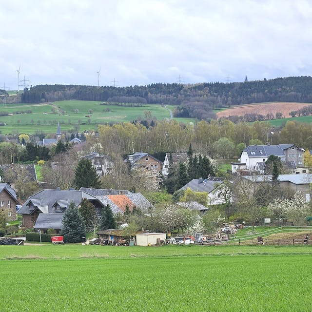Blick auf den Ort Wallenthal.
