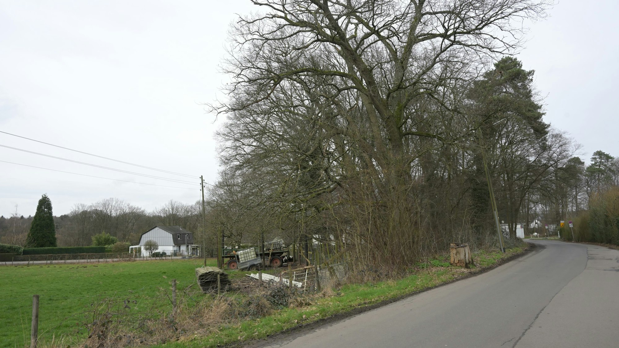 Eine Wiese an einer Straße, seitlich stehen landwirtschaftliche Geräte, die Straße wird von Bäumen gesäumt.