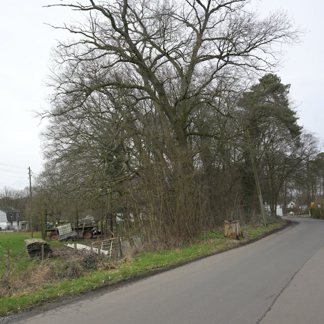 Eine Wiese an einer Straße, seitlich stehen landwirtschaftliche Geräte, die Straße wird von Bäumen gesäumt.