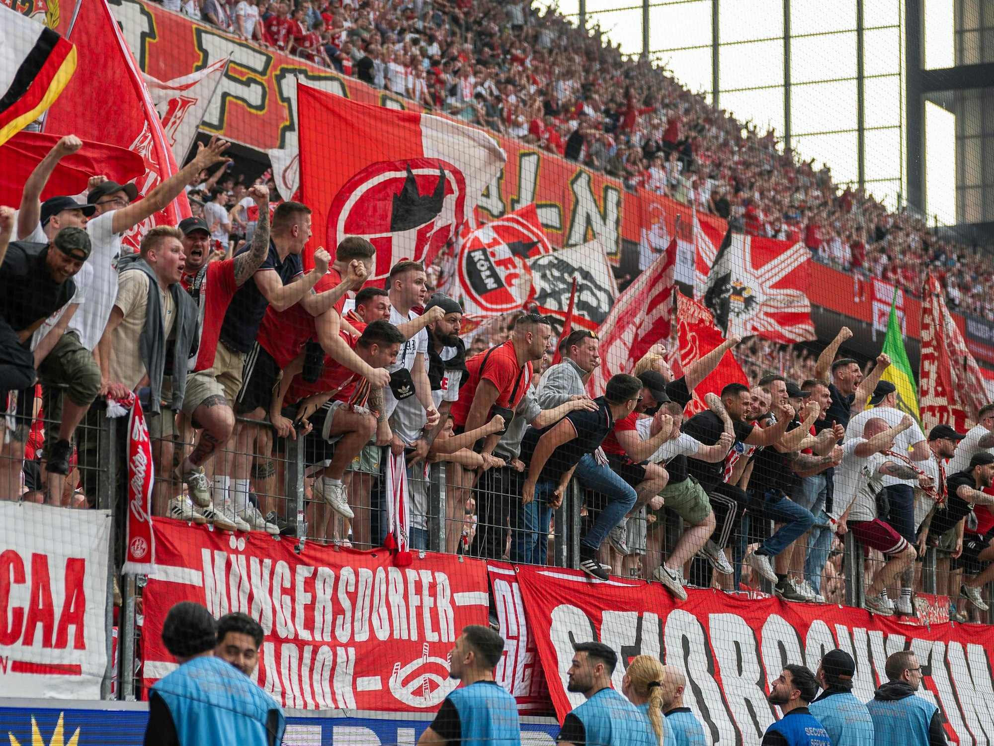 Die Fans des 1. FC Köln jubeln auf dem Zaun.
