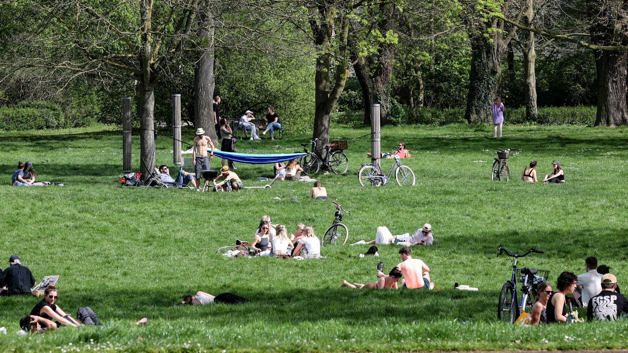 Viele Menschen liegen und sitzen bei Sonnenschein im Volksgarten in Köln.